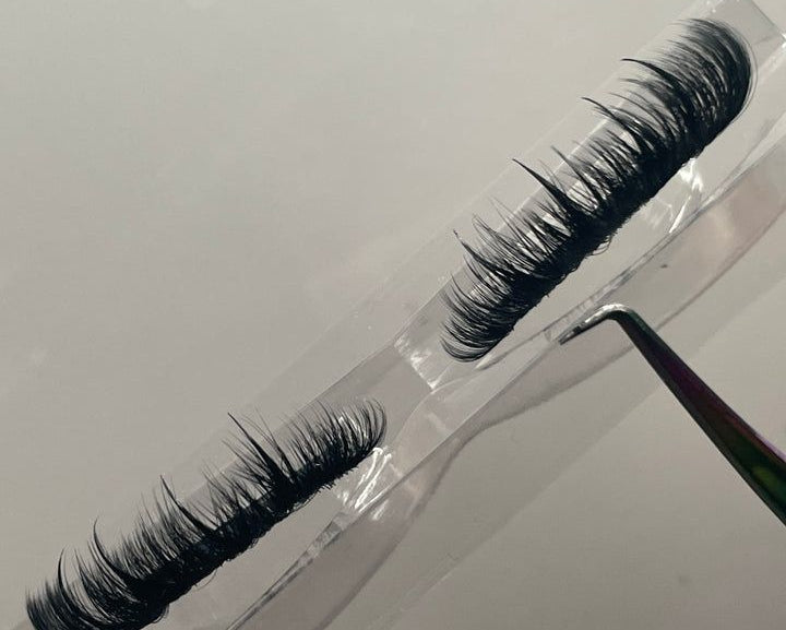 Lash Strip Application $10