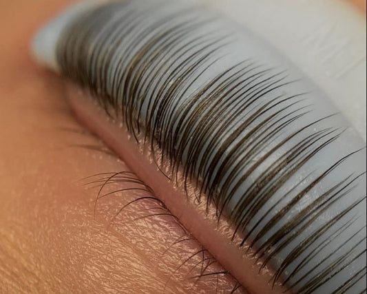 Lash Tint $10